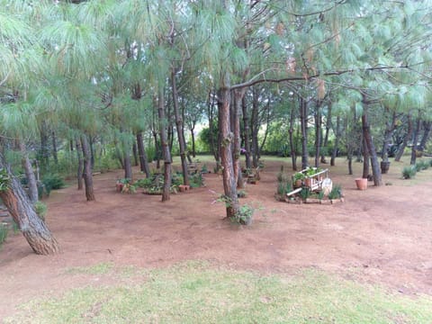 Cabañas Walddorf - Alcatraz Apartment in State of Michoacán