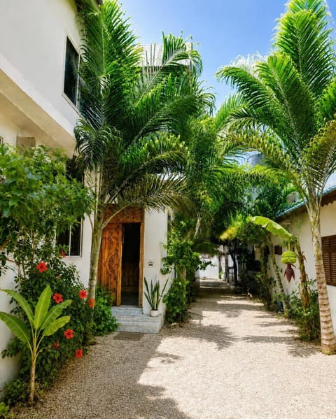 Property building, Facade/entrance, Garden