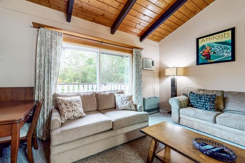 Mountain Oasis Apartment in Glen