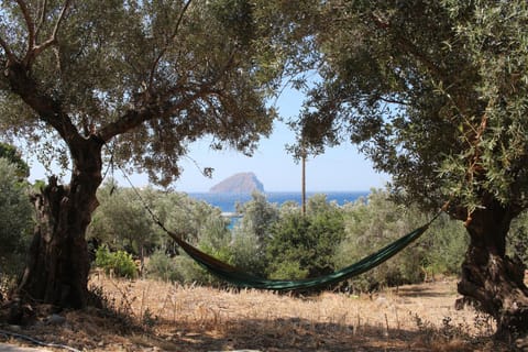 Garden, Garden view, Location