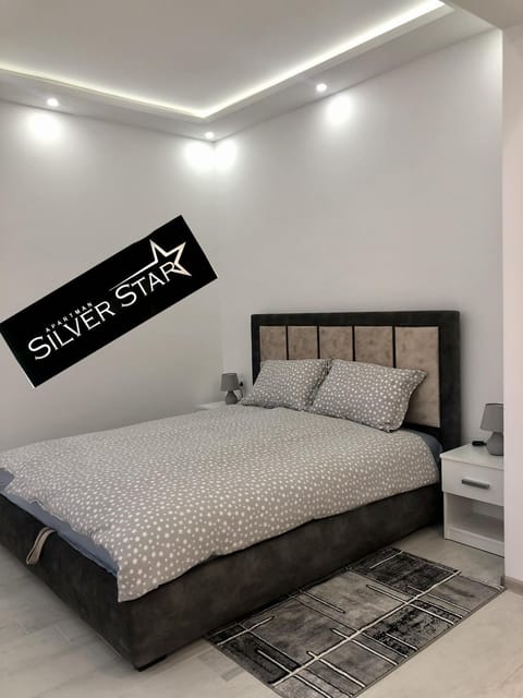 Apartman Silver Star Apartment in Vojvodina