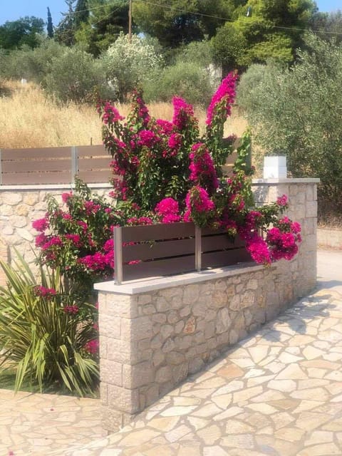 Spilios Apartment Apartment in Argolis, Greece