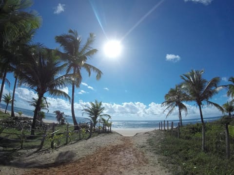 Beach, Sunrise