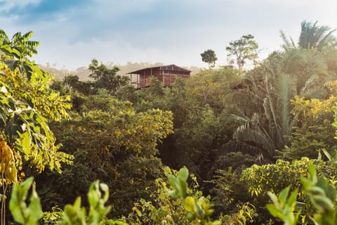 Natural landscape, Garden