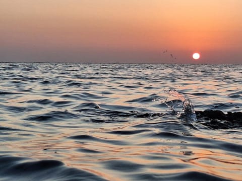 Natural landscape, Sea view, Sunset