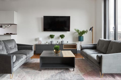 TV and multimedia