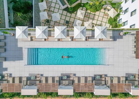 Garden, Swimming pool