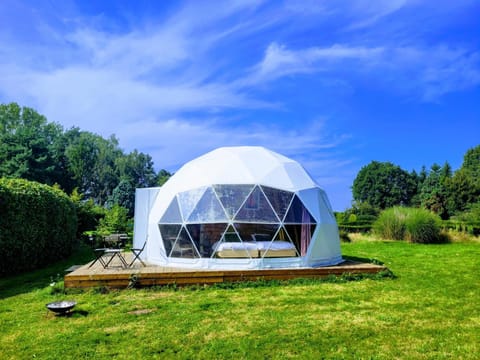 Natural landscape, Garden, Garden view