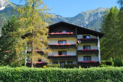 Property building, Natural landscape, Summer