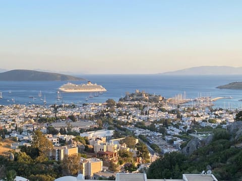 City view, Sea view
