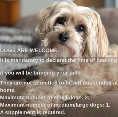 Ringo, the true Tuscany Country House House in Capannori