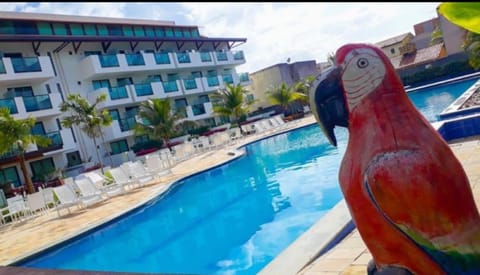 Property building, Day, Pool view, Swimming pool