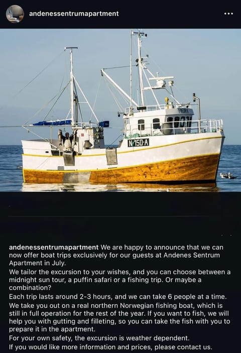 Andenes Sentrum Apartment Apartment in Nordland, Norway