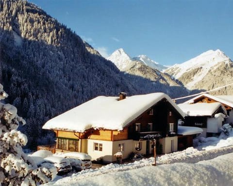 Property building, Winter