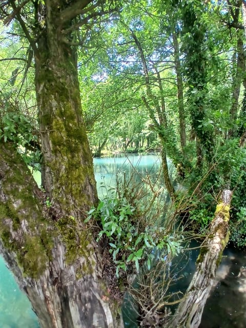 Apartmani i sobe "Vodenica" Janjske Otoke Apartment in Federation of Bosnia and Herzegovina