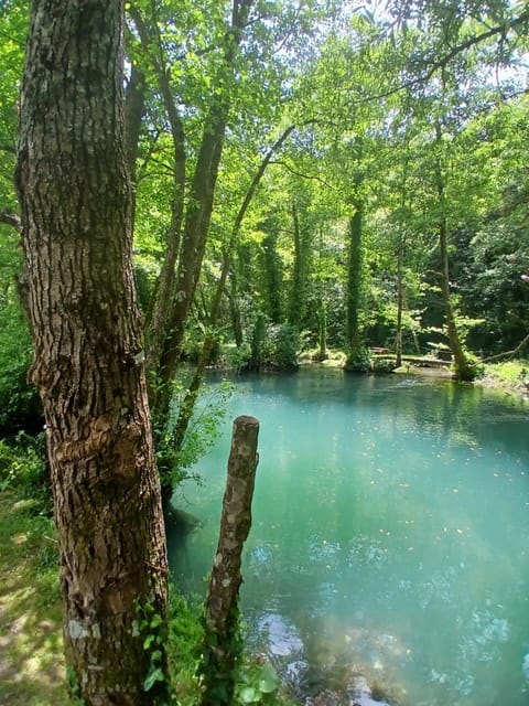 Apartmani i sobe "Vodenica" Janjske Otoke Apartment in Federation of Bosnia and Herzegovina