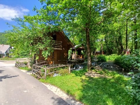 Apartmani i sobe "Vodenica" Janjske Otoke Apartment in Federation of Bosnia and Herzegovina