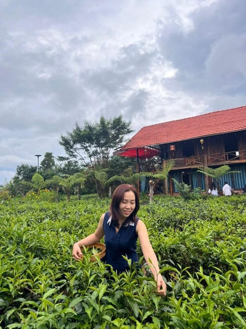 Garden, Garden view
