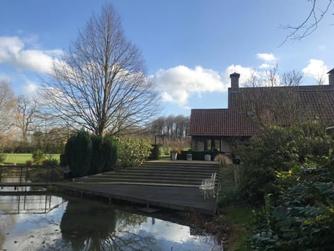 Winter, Garden view