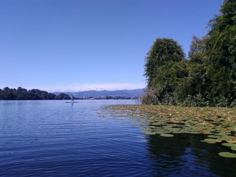 Lake view