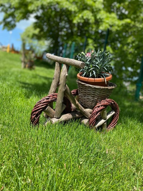 Apartmani Joka i Drvene kucice House in Vojvodina