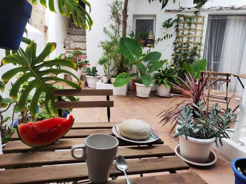 Patio, Garden, Garden view