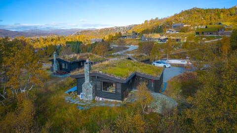 Property building, Day, Natural landscape, Bird's eye view, Autumn, Mountain view