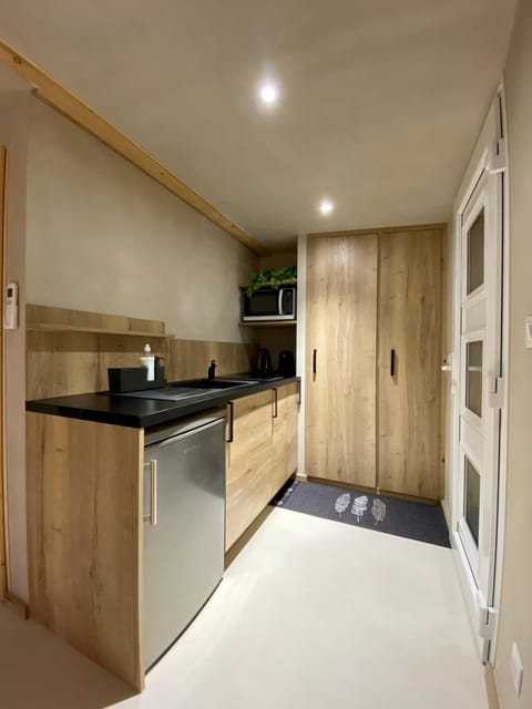 Kitchen or kitchenette, minibar, stove