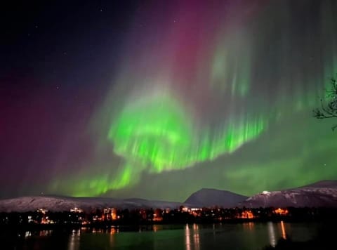 Polar Arctic View - Free Parking! Apartment in Tromso