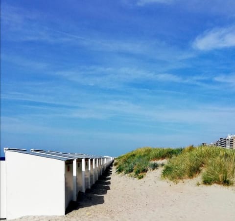Crèmebol Apartment in Koksijde