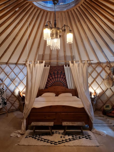 Property building, Bed, Photo of the whole room, Bedroom