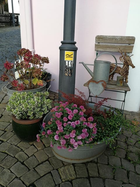 Siegen Altstadt Oberstadt Häuschen Apartment in Siegen