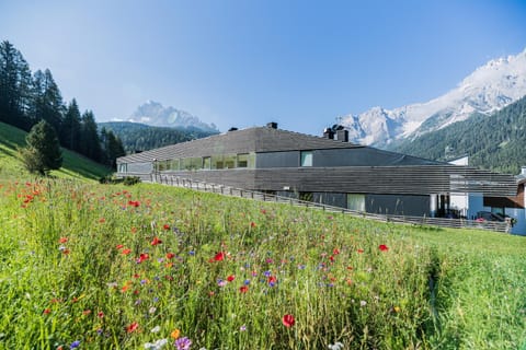 Property building, Garden