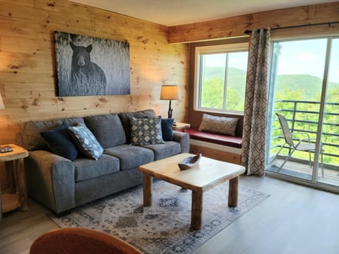 Mountain Villa Magnificent Views - 2 Pools, Fireplace & Hot Tub Apartment in Gatlinburg