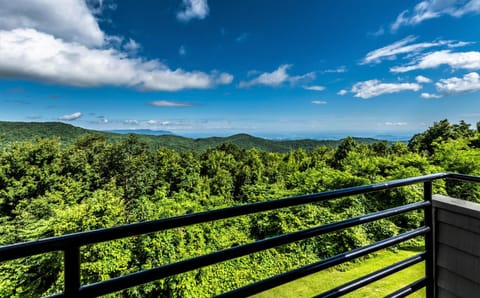 Mountain Villa Magnificent Views - 2 Pools, Fireplace & Hot Tub Apartment in Gatlinburg