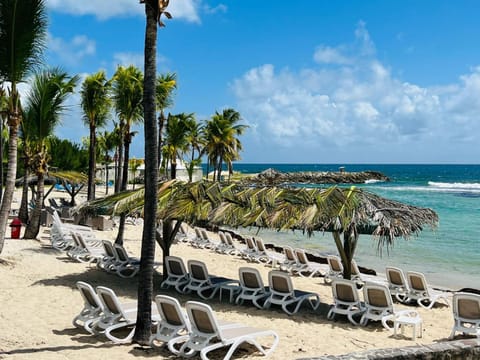 Beach, sunbed