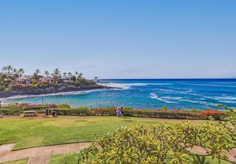 Napili Point B33 1 Bedroom Oceanfront Condo condo Apartment in Kapalua