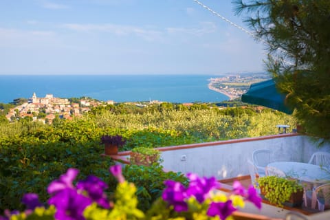 Sea view