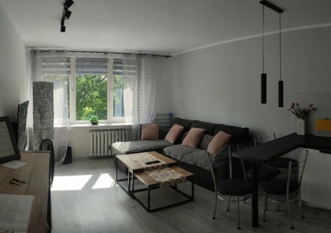 TV and multimedia, Living room, Other, Other, Other, Decorative detail, Decorative detail, Seating area, towels