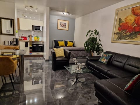 Elegant and Quiet Apartment in Wiesbaden