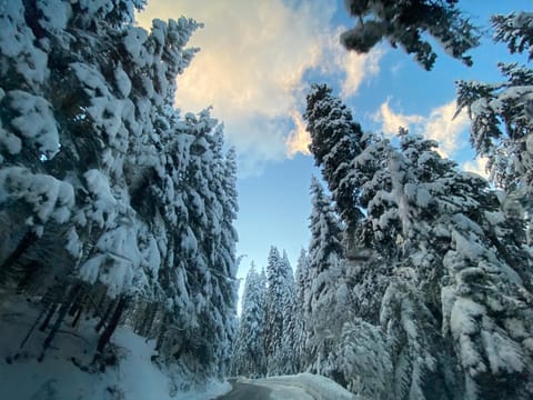 Day, Natural landscape, Winter, Hiking