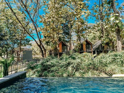 Pool view, Swimming pool, Swimming pool