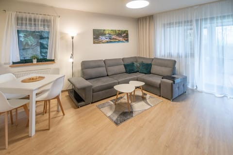 Apartment Ludvig Zell am See - Kaprun with spacious terrace Apartment in Piesendorf