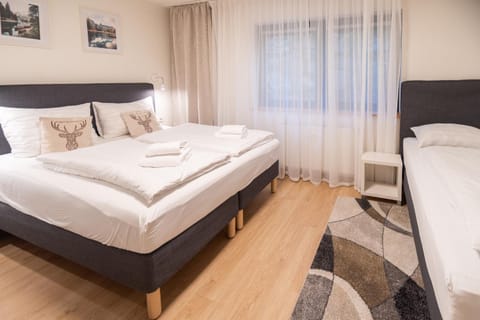 Apartment Ludvig Zell am See - Kaprun with spacious terrace Apartment in Piesendorf