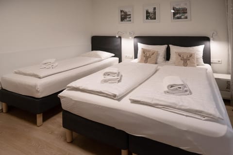 Apartment Ludvig Zell am See - Kaprun with spacious terrace Apartment in Piesendorf