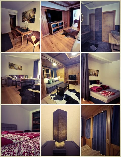FeWo's und Apartment's Blaues Haus Apartment in Davos