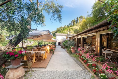 Agriturismo Buranco Farm Stay in Monterosso al Mare