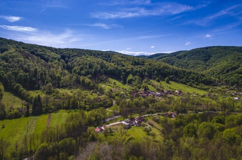 Natural landscape, Bird's eye view, Garden, Garden view