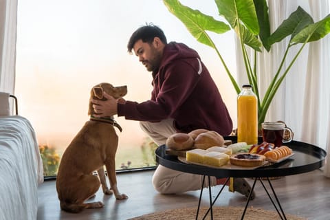 Pets