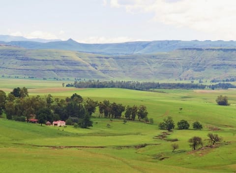 Natural landscape